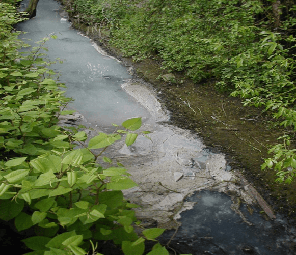 A stream with signs of pollution