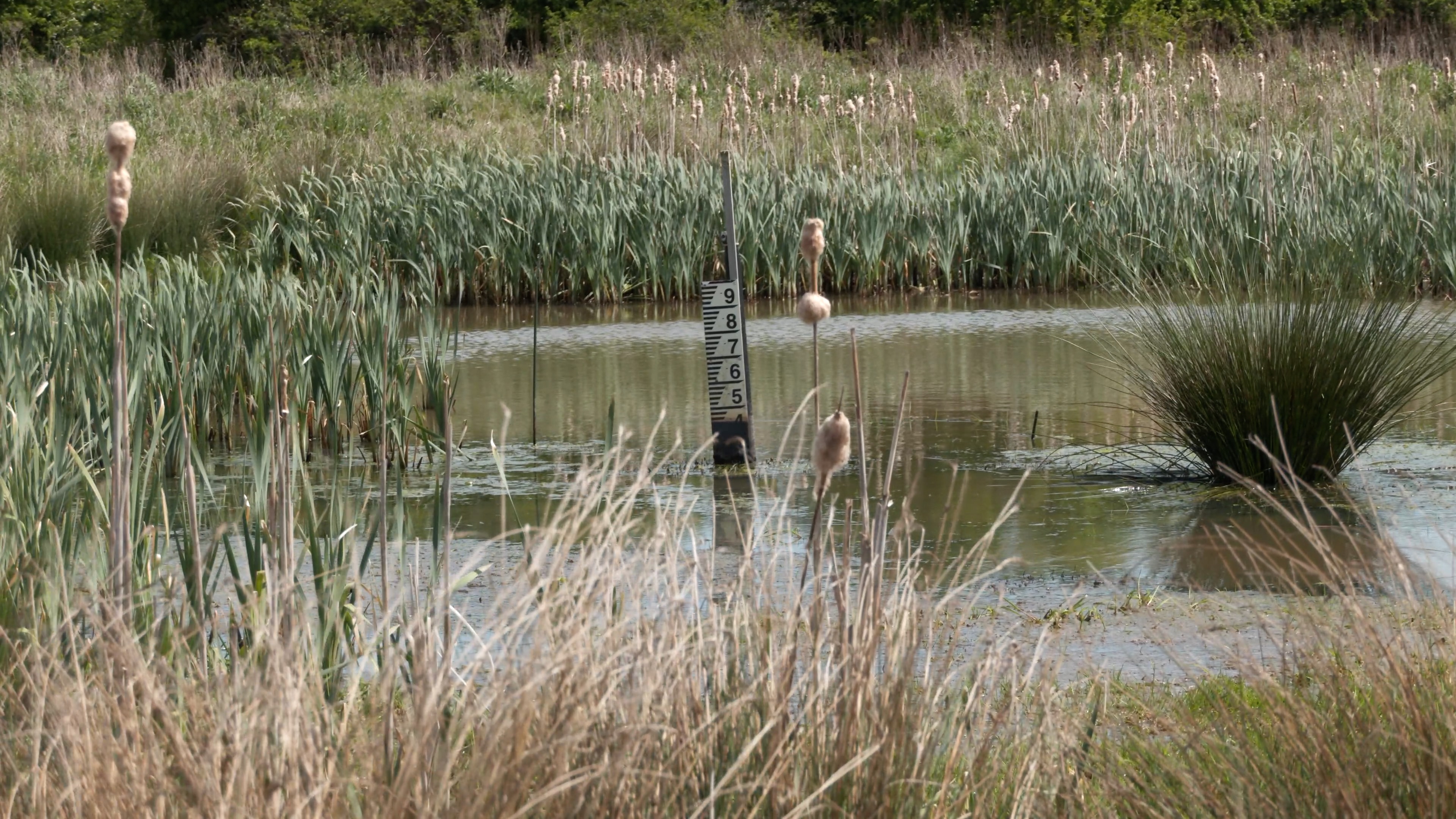 low water at littlestock brook