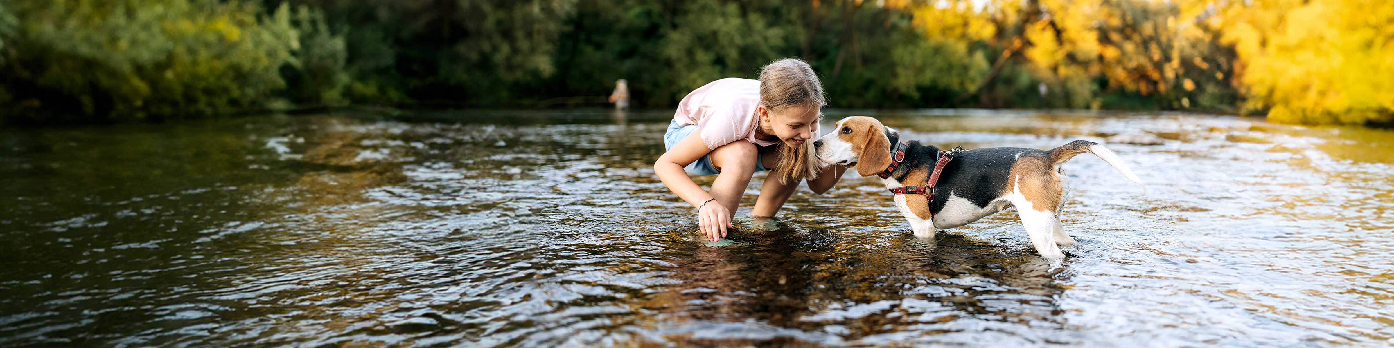 A young girl and a dog play in the river