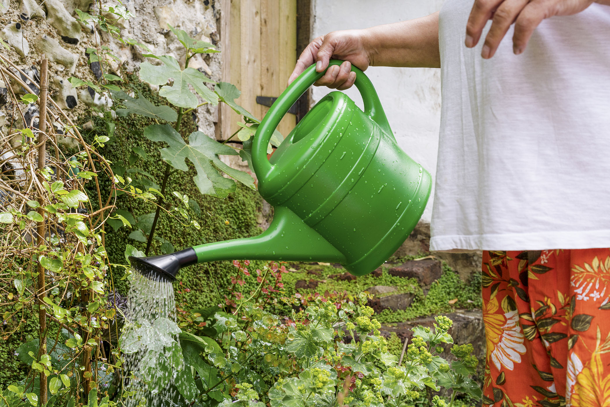 Person using watering can to water garden