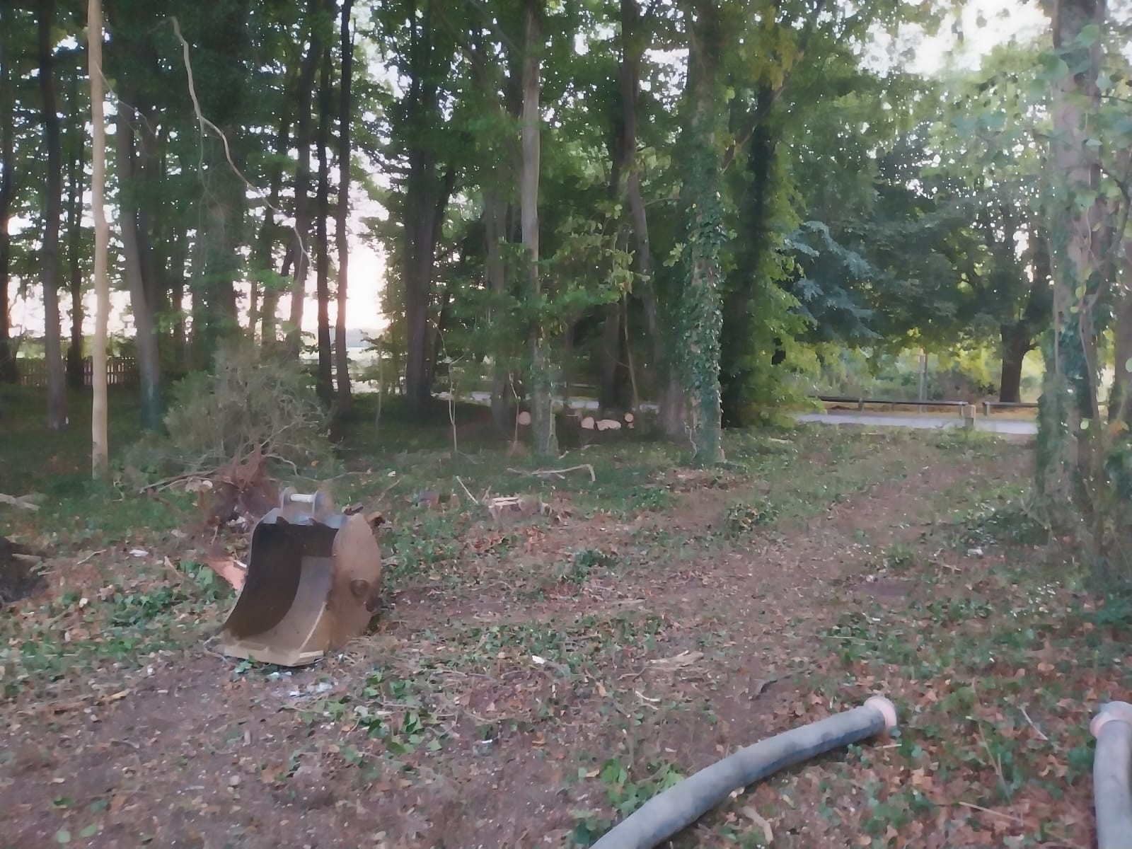 Flaxland (2)