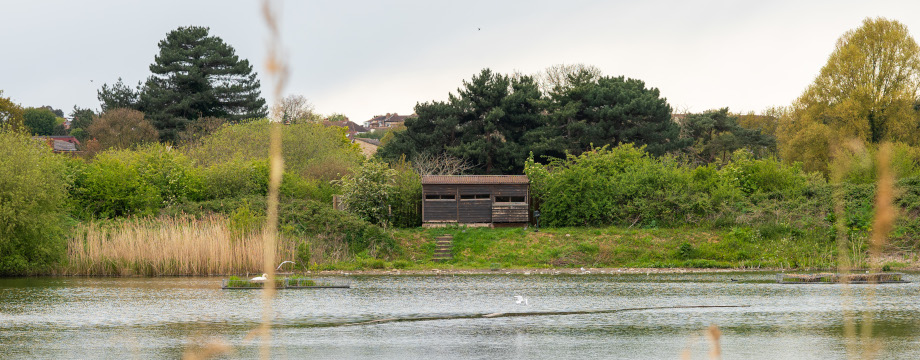 Shed in the distance at Hogsmill Nature Reserve