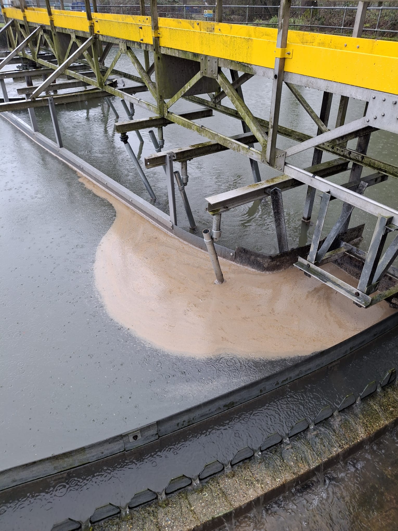 Substance in primary settling tank