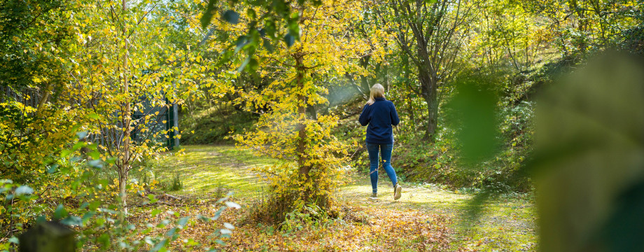 Lady taking a stroll through a forest