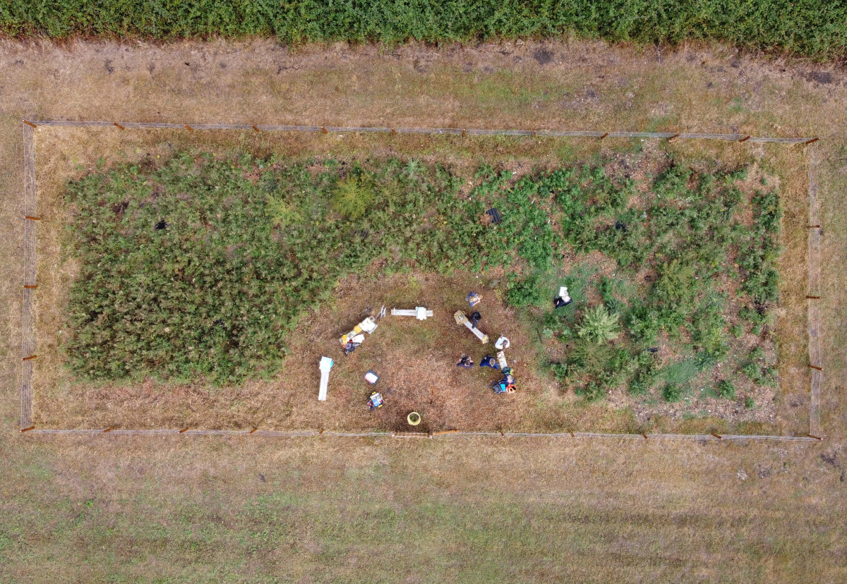 Miyawaki forest project