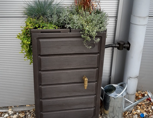 water planter