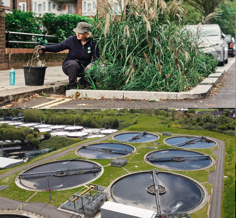 sustainable drainage systems, turbine and Mogden STW