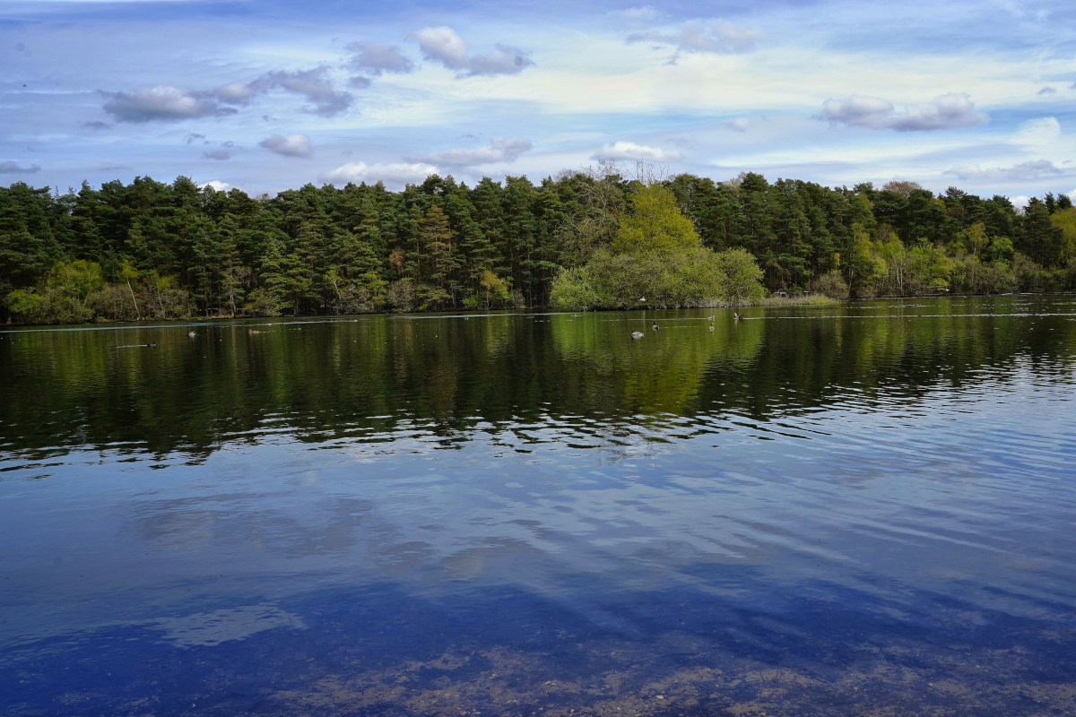 Heath Lake