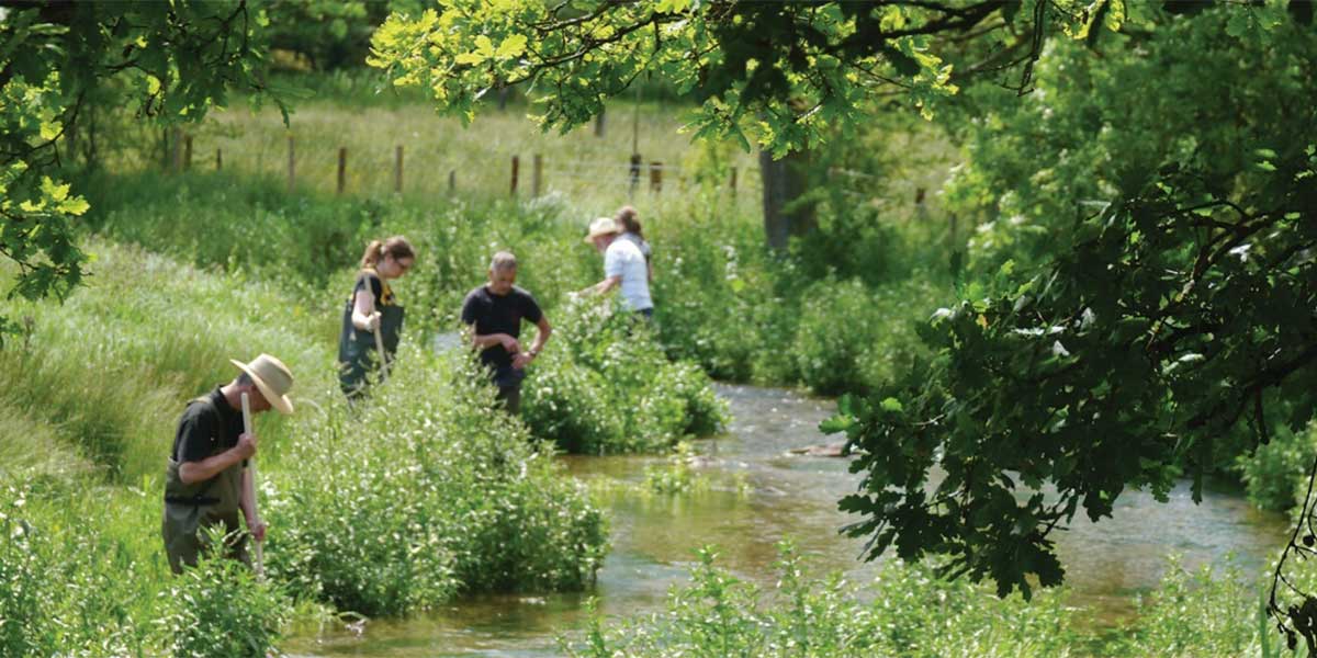River Chess